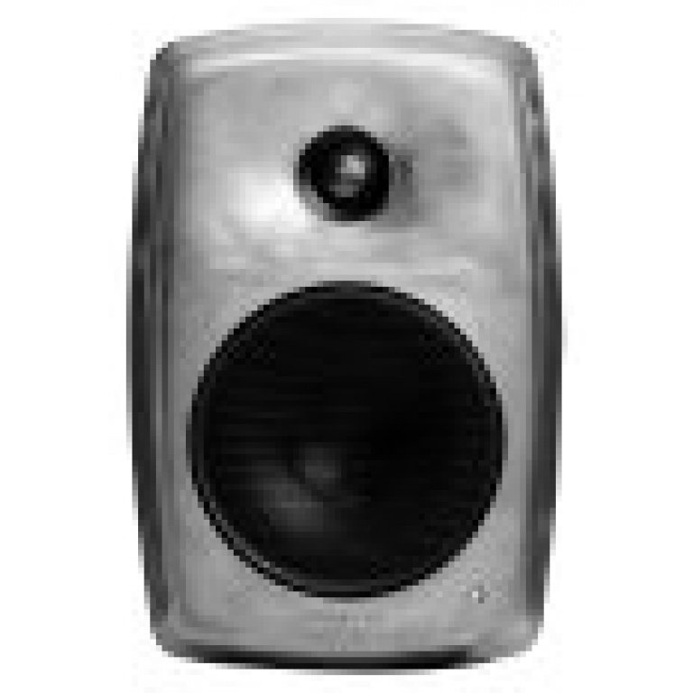 Genelec 4040ARW Compact Two-Way Active Loudspeaker System in RAW Aluminium Finish