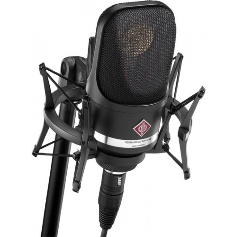 Neumann TLM 107 Multi-Pattern Large Diaphragm Condenser Microphone