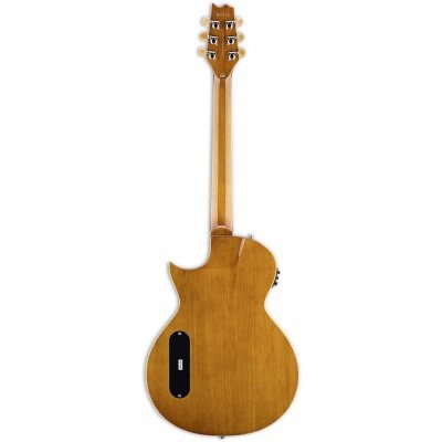 ESP LTD TL-6 Thinline Acoustic Guitar - Natural Finish