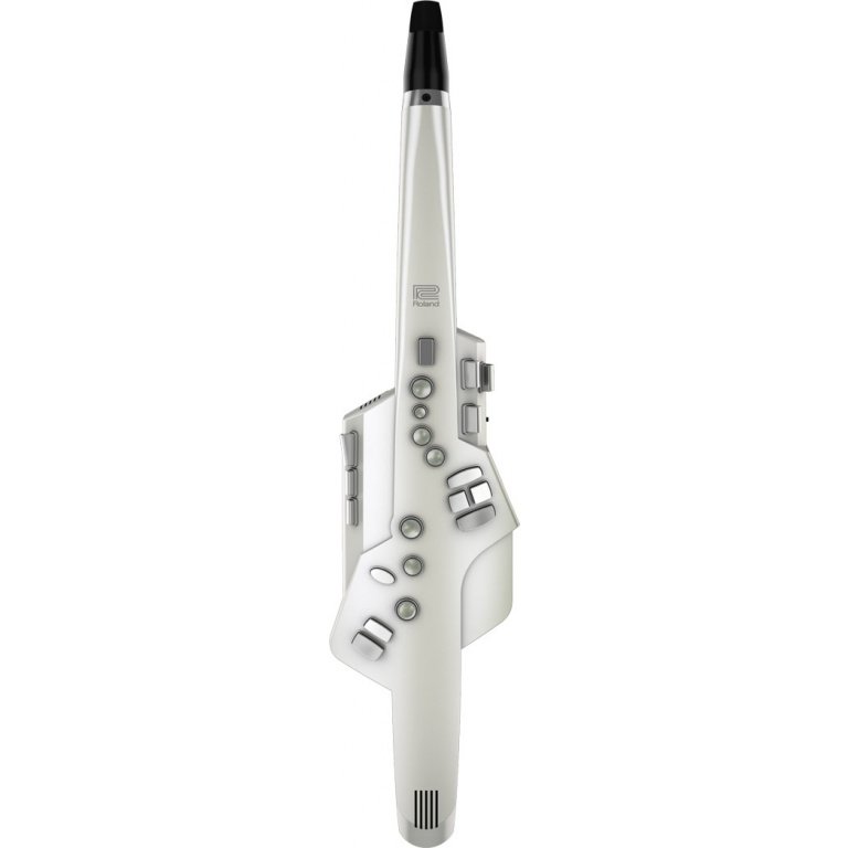 Roland AE-10 Aerophone Wind Instrument