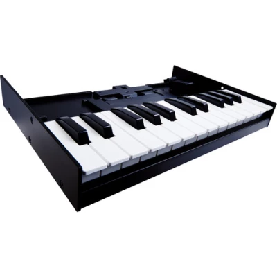 Roland K-25m Portable Keyboard Unit for Roland Boutique Modules