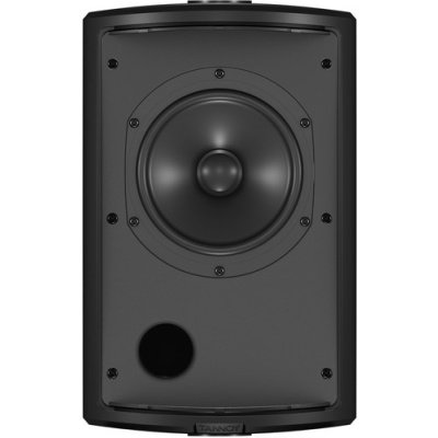 Tannoy AMS 6ICT 6" ICT Surface-Mount Loudspeaker for Installation Applications