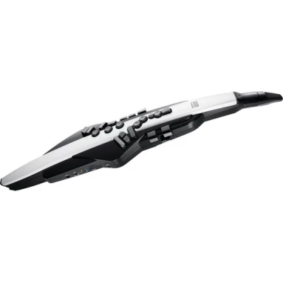 Roland AE-20 Aerophone Digital Wind Instrument