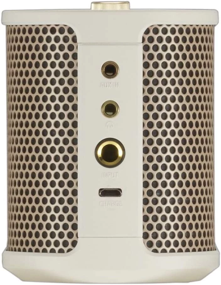 Roland BTM-1 Bluetooth Speaker with Guitar Input Roland BTM-1 Bluetooth Speaker with Guitar Input