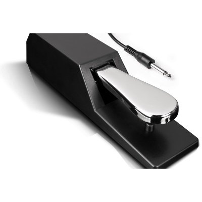 Alesis ASP2 Piano-Sustain Pedal