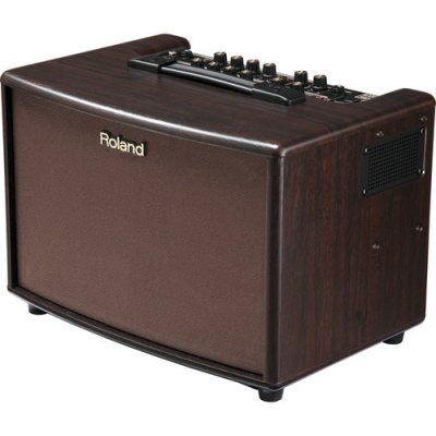 Roland AC-60 Acoustic Chorus Guitar Amplifier