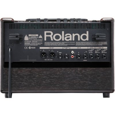 Roland AC-60 Acoustic Chorus Guitar Amplifier