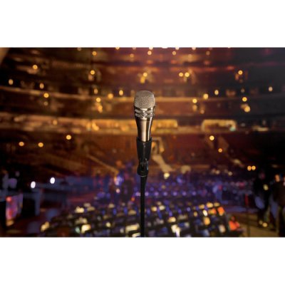 Shure KSM8/N Dualdyne Dynamic Handheld Vocal Microphone (Nickel)