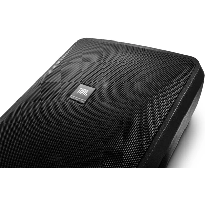 JBL Professional Control 28-1 High Output Indoor/Outdoor Background/Foreground Speaker, Black - Single