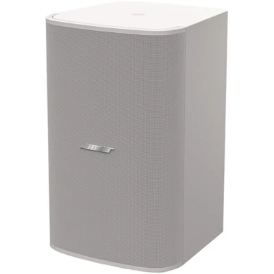 Bose DesignMax DM10S 10" Passive Subwoofer - outstanding bass reproduction with elegant aesthetics Bose DesignMax DM10S 10" Passive Subwoofer - outstanding bass reproduction with elegant aesthetics