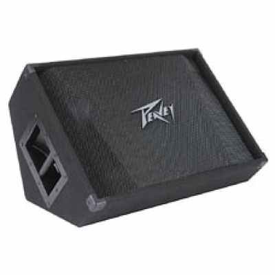 Peavey PV® 15M 2-WAY FLOOR MONITOR