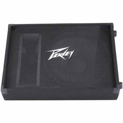 Peavey PV® 15M 2-WAY FLOOR MONITOR