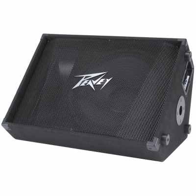 Peavey PV® 15M 2-WAY FLOOR MONITOR