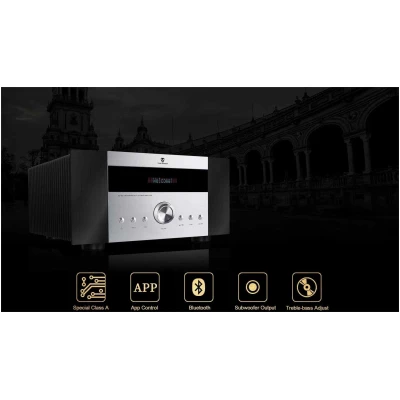ToneWinner AD-99D, 2 Channel Stereo Hi-Fi Integrated Amplifier