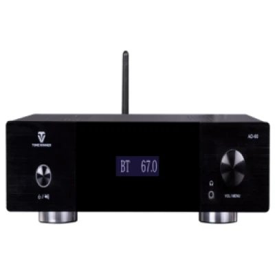 ToneWinner AD-60  Entrance level Hi-Fi integrated amplifier
