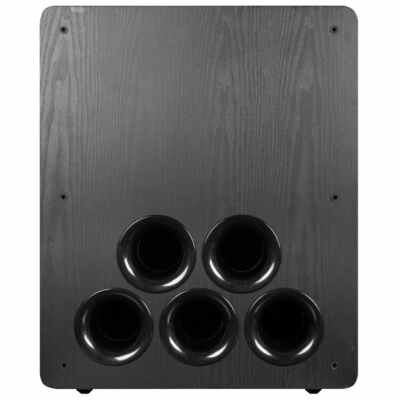 ToneWinner SW-D8000 DUAL 15'' Ported Active DSP Subwoofer 1500W