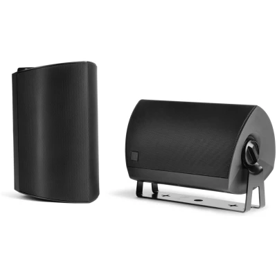 Definitive Technology Dymension AW-550 5.25" Two-Way Surface-Mount Outdoor Speaker - Black