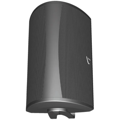Definitive Technology AW6500 Outdoor speaker - Black