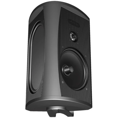 Definitive Technology AW6500 Outdoor speaker - Black