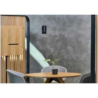 SPOTTUNE 01-C-B Omni Cord Wireless pendant speaker (Black)