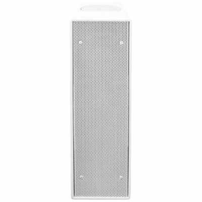 dBTechnologies IS 25TW Passive wooden speaker, 2x5"+ 1" HF driver, 8ohms, 120W White