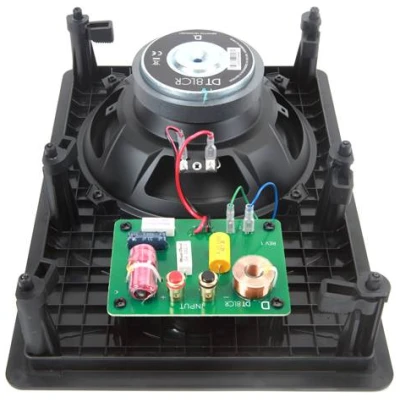 Definitive Technology DT8LCR In-wall speaker Definitive Technology DT8LCR In-wall speaker