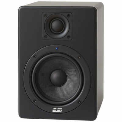 ESI aktiv 05 - 5" Studio Reference Monitor (Single)