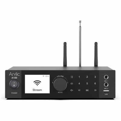 Arylic A100 100W x 2 Power amplifier with FM