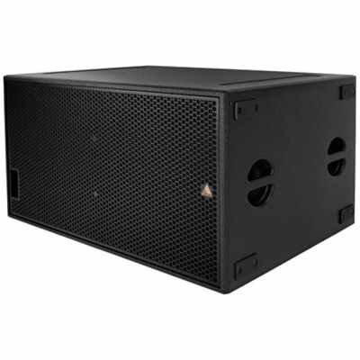Adamson  A218 Multi-Purpose Subwoofer