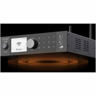 Arylic A100 100W x 2 Power amplifier with FM
