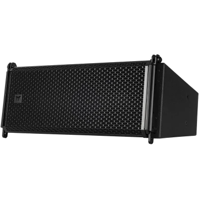 TT+ AUDIO GTX 10Pi IP Two-way Line Array Module - Black