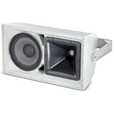 JBL AW266 Full-Range 12" 2-Way Loudspeaker - High Output, 60x60 Coverage - BLACK