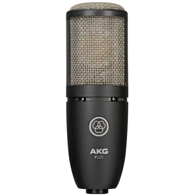 AKG P220 Large-Diaphragm Condenser Microphone  1-Inch True Condenser Capsule, Successor to Perception 120