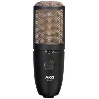 AKG P420 Dual-Diaphragm Condenser Microphone  Professional Studio Mic with Switchable Polar Patterns
patterns.