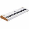Arturia AstroLab 88 – 88-Key Performance Keyboard with Analog Lab Pro Sounds