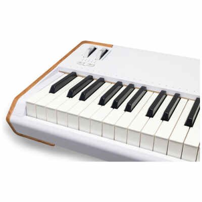 Arturia AstroLab 88 – 88-Key Performance Keyboard with Analog Lab Pro Sounds