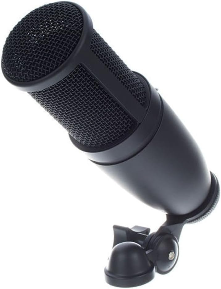 AKG P120 Professional Studio Microphone Versatile General Purpose Mic for Recording & Podcasting AKG P120 Professional Studio Microphone Versatile General Purpose Mic for Recording & Podcasting