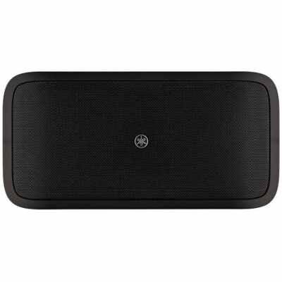 Yamaha VXS10STBLK 10" Dual Voice Coil Subwoofer | Low Impedance Professional Speaker