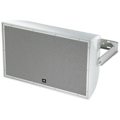 JBL AE Series AW566-LS Outdoor Speaker- All-Weather, High-Power Audio