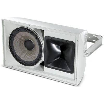 JBL AE Series AW566-LS Outdoor Speaker- All-Weather, High-Power Audio
