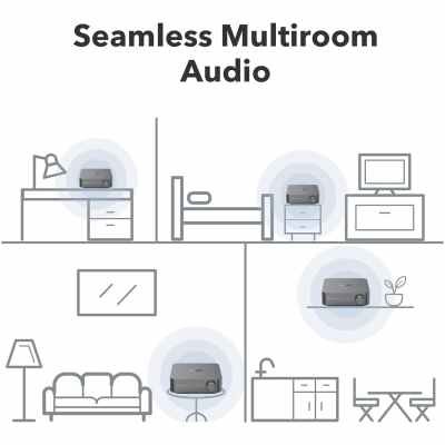 WiiM Amp Pro: Multiroom Streaming Amplifier | Compatible with Google Cast, Alexa | HDMI, Voice Control