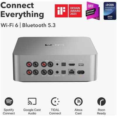 WiiM Ultra Music Streamer & Digital Preamp - Silver