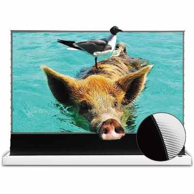 VIVIDSTORM VWSDSTUST120H - 120" S PRO Floor-Rising ALR Screen