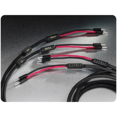 ESPRIT Beta 3m Speaker Cable High-Fidelity Audio Cable ESPRIT Beta 3m Speaker Cable High-Fidelity Audio Cable