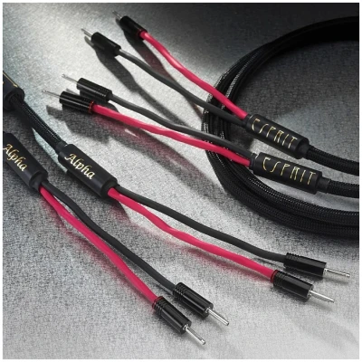 ESPRIT Beta 3m Speaker Cable High-Fidelity Audio Cable ESPRIT Beta 3m Speaker Cable High-Fidelity Audio Cable