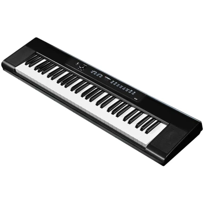 Artesia A-61BK Semi-Weighted 61-Key Keyboard Black Finish