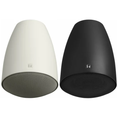 TOA PE-304 5" 30W Two-Way Pendant Speaker System – Black
